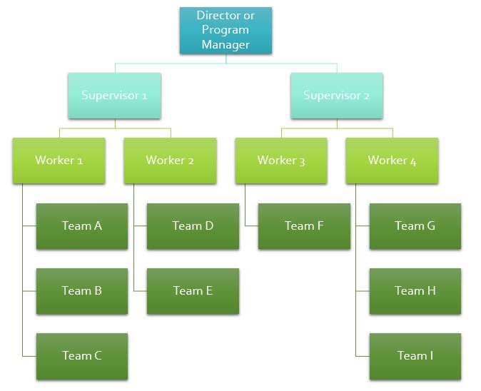 Organizational Chart within ConnectedCare.Team foster care software