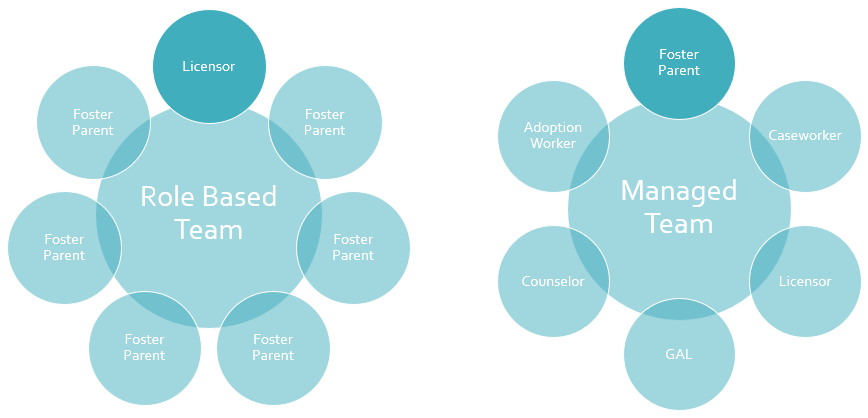 team types within ConnectedCare.Team foster care software